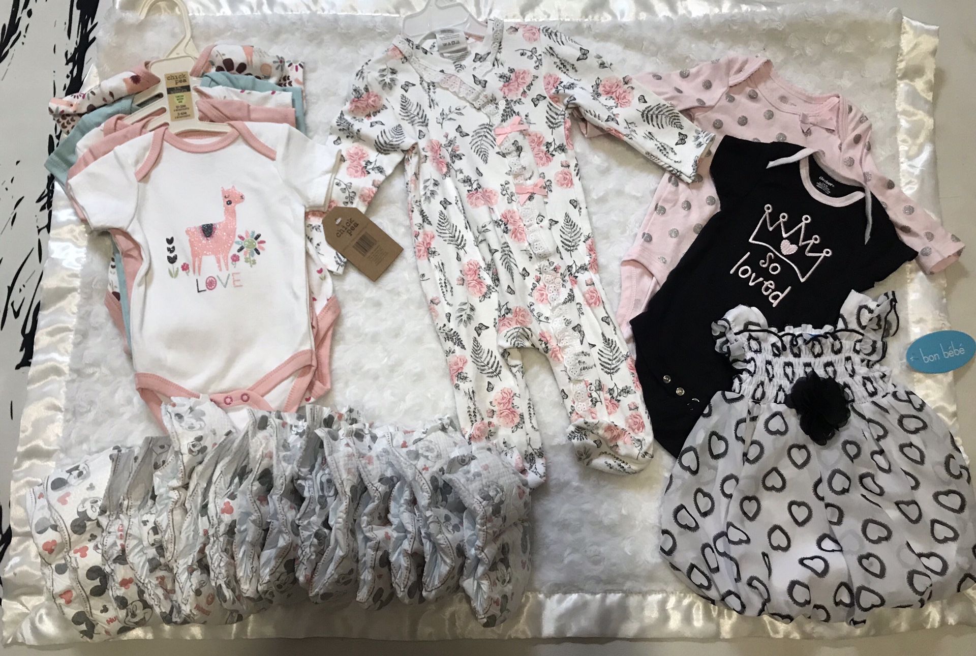 Baby Girl Clothes Bundle: 3-6 Months