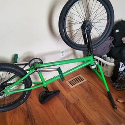 Custom BMX 