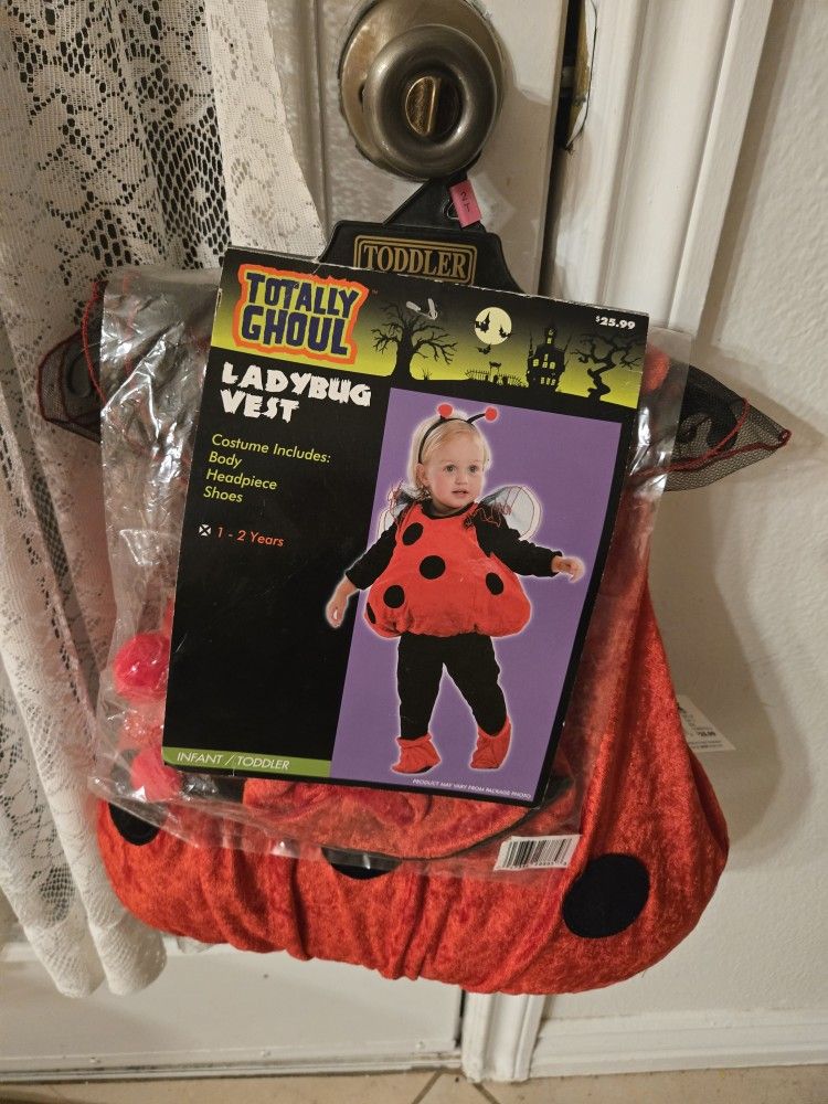 Toddler  Lady Bug Costume 