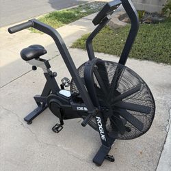 Rogue Echo Bike