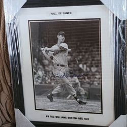 BOSTON RED SOX Ted Williams Signed And Framed Picture