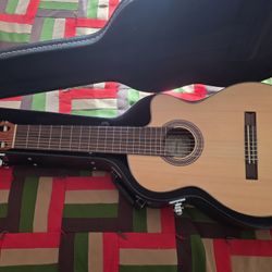 Ibanez 8 String Classical