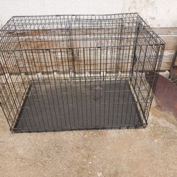  Dog cage