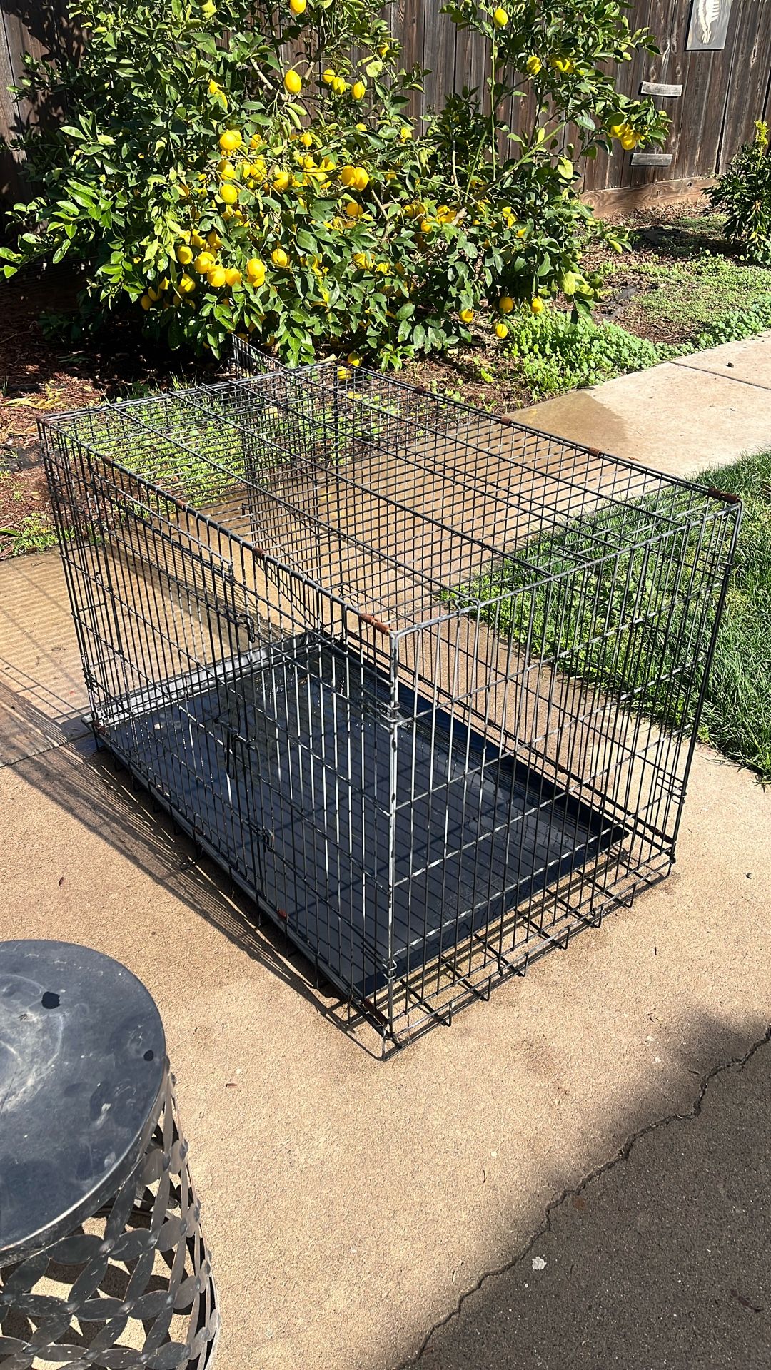 Large Dog Crate