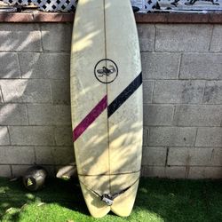 Vintage Venice Surfboard 