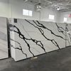Granite Quartz Stone