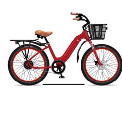 Electric Bike Model R