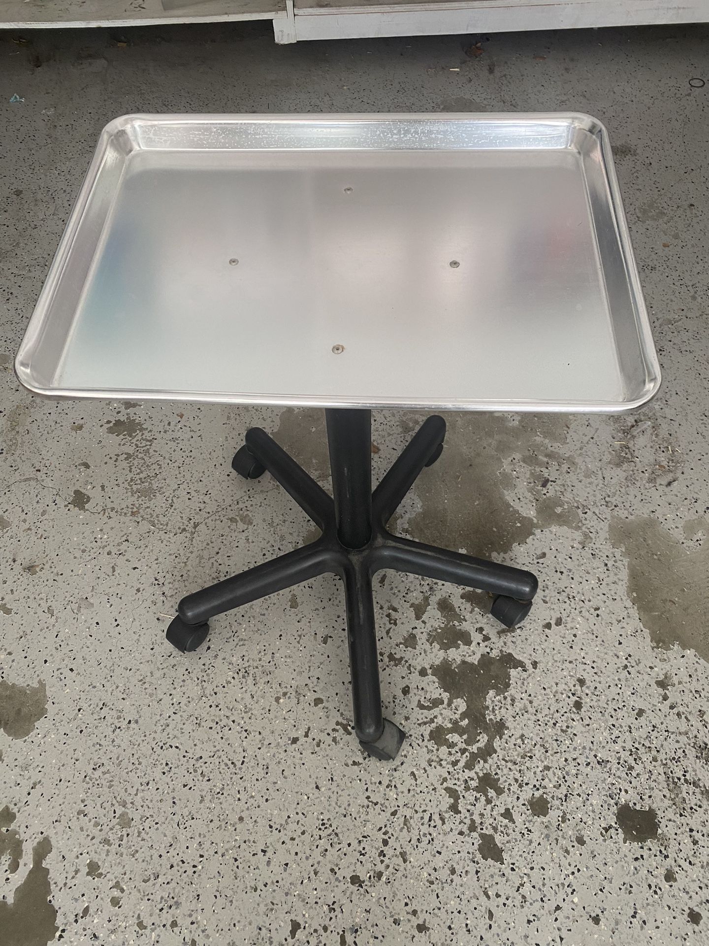 Rolling Salon Tray