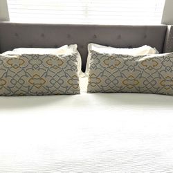 2 Beautiful Decorative Pillows 