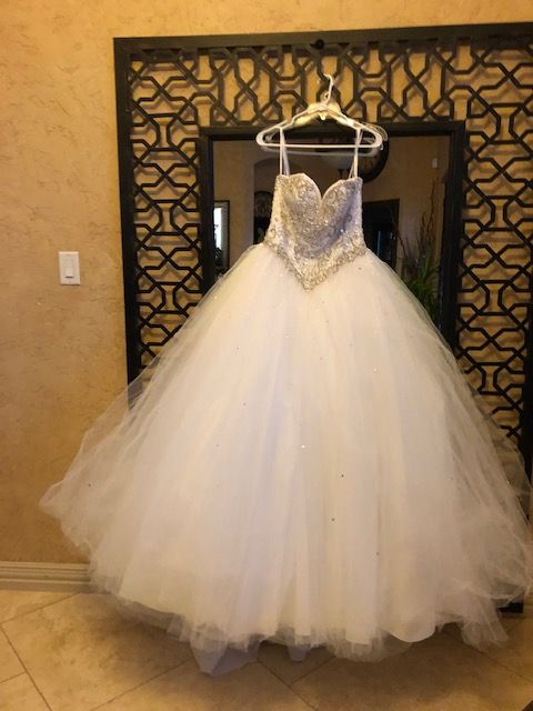 Quinceanera/ Wedding Dress