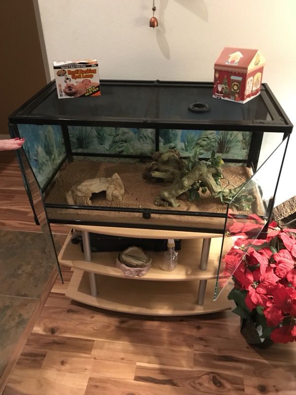 Front Access Reptile Cage and more