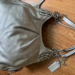 Coach Platinum Leather Handbag