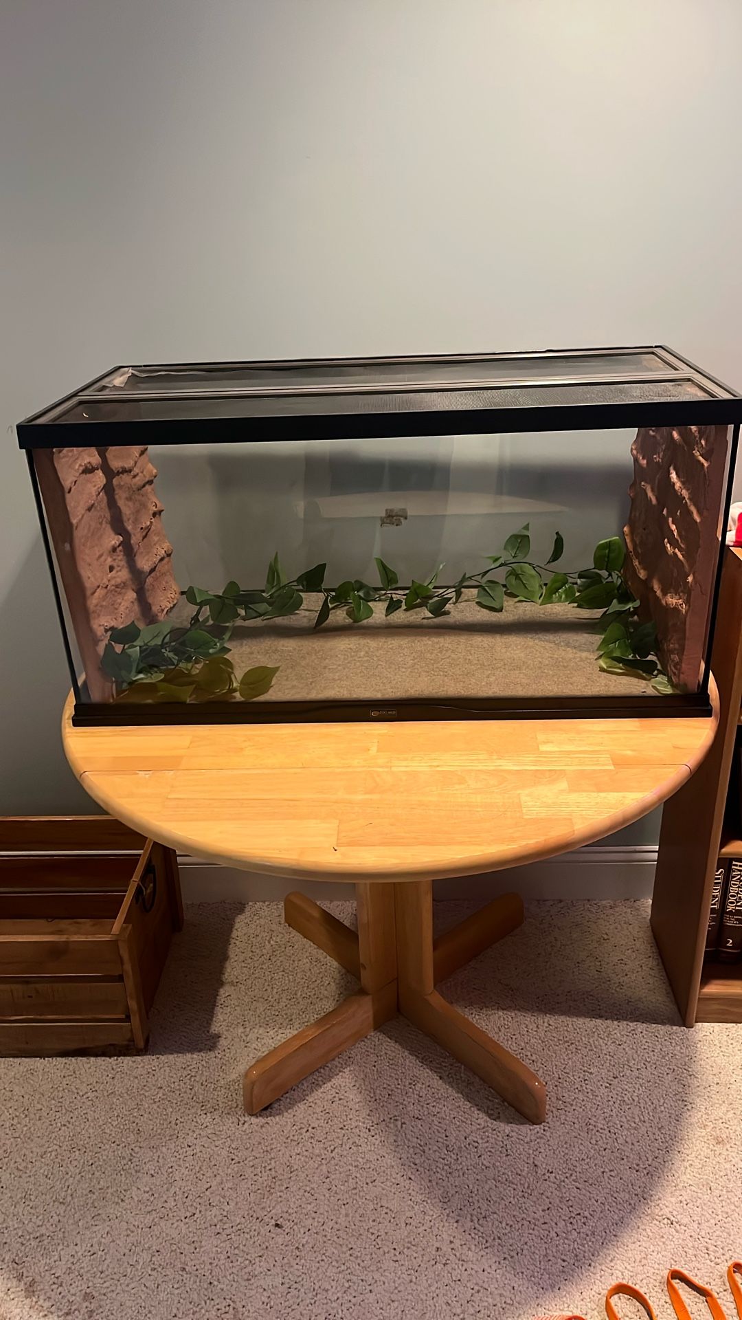 Reptile Tank