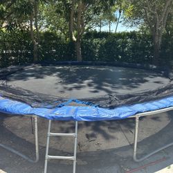 Trampoline 