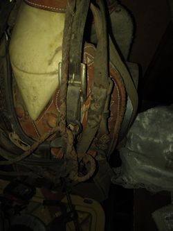 Leather Horse Sandal