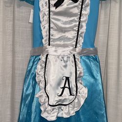 Alice In Wonderland Costume Size XL