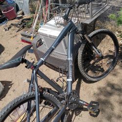 Diamond Back Mtn Bike  Response