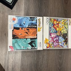 2 Pokemon Puzzles 