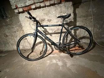 Fuji Royale Road Bike