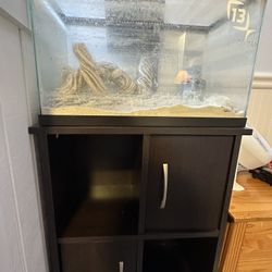 10 Gallon Fish Tank with Stand And Filter 
