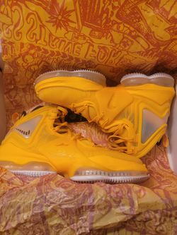 Nike KING JAMES Quarter Hi Tops Sz 7.5 M/9 W