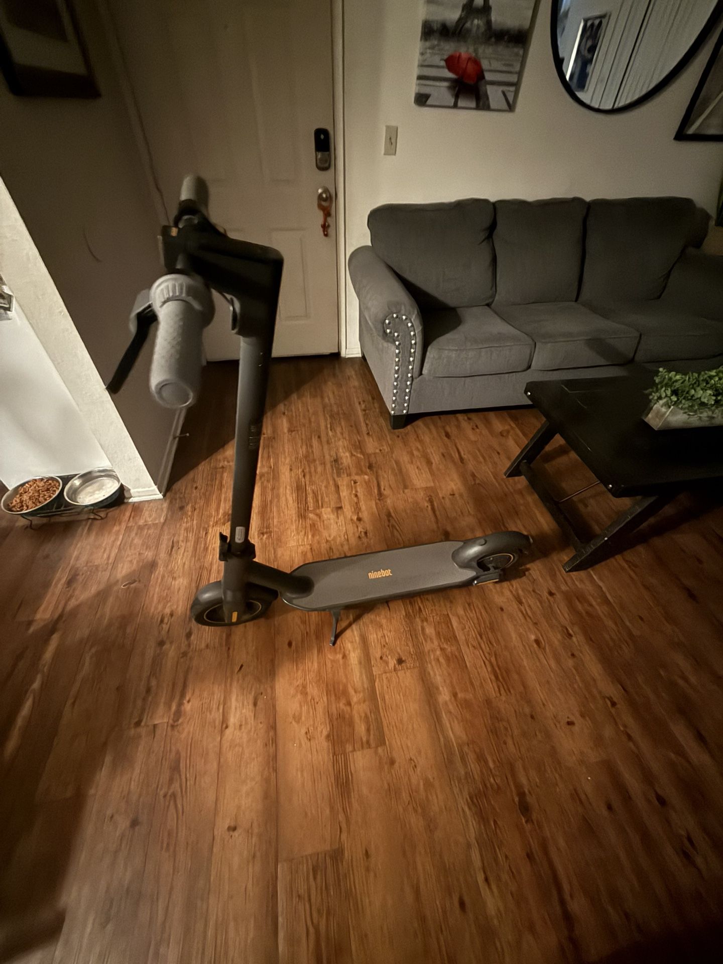 Segway Ninebot Electric Scooter