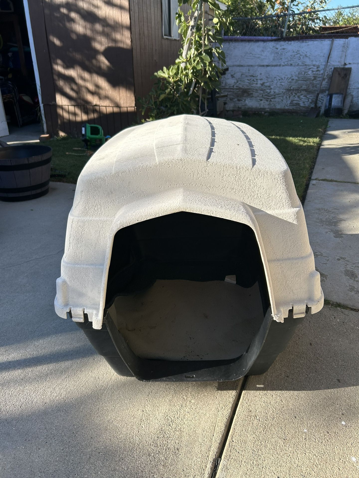 Dog house 
