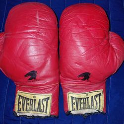 Everlasting Boxing Gloves 12oz