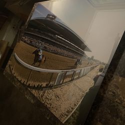Belmont Park Horse Racing Portrait w/ Black Back-Frame 