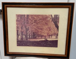 Vintage Framed Autumn Fall Foliage Print – Trees & Stone Wall