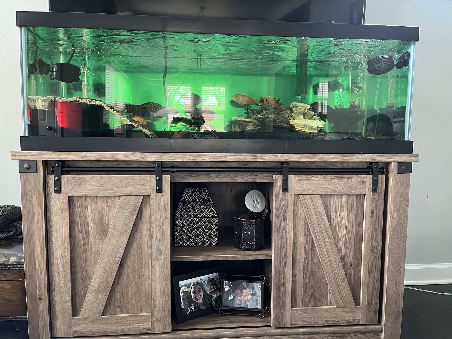 60 Gallon Breeder Tank With Stand