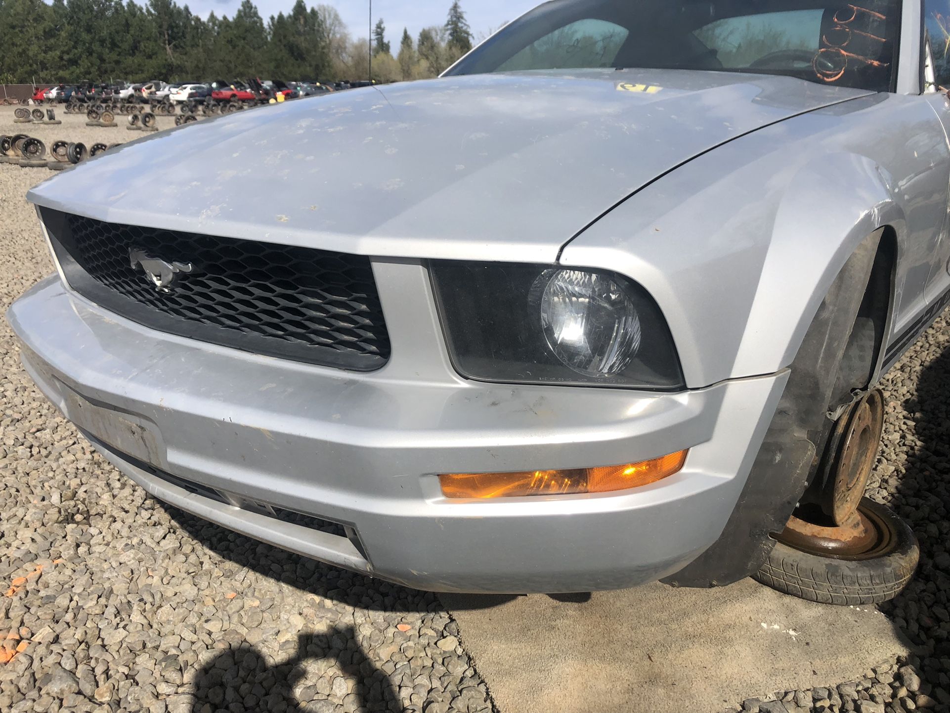 Ford Mustang 2005 Front Bumper Cover 