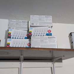 Feit Electric 24-pack LED light bulbs