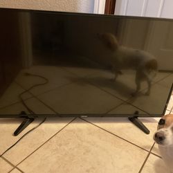 Toshiba  Tv