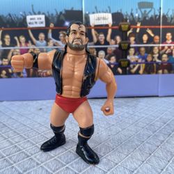 Wrestling Figure Sale : Hasbro Razor Ramon 
