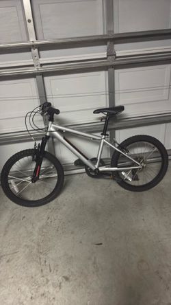 Kids mountain bike 20in
