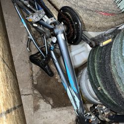 So Many Mountain Bikes And Children’s Bicycles