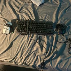 keyboard and mouse’s 