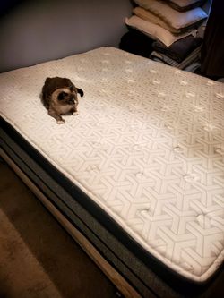 Queen Size Bed Barely Used