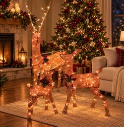 Lighted Christmas Reindeer Decoration Set