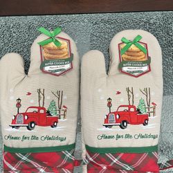 NEW!  Truck Oven Mitts With Cookie Mix