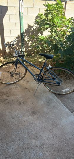 Safari ten road bike