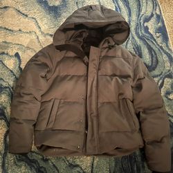 🔥Grey Canada Goose 🔥