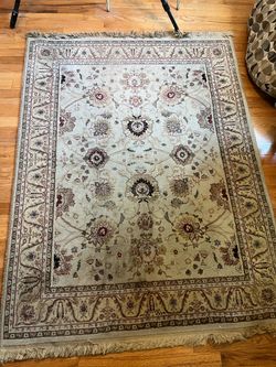 4 x 6 rug indoor