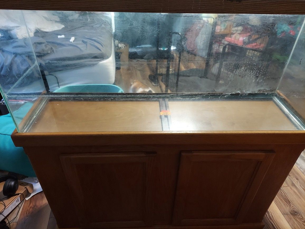 55 Gallon Fish Tank With Stand