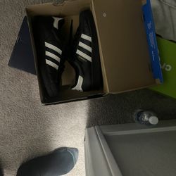 Reeboks And Adidas All Stars 