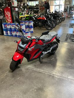 2022 ICE BEAR Z50