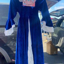 Blue Quen Little Girl Costume 