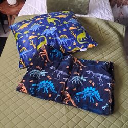 Dinosaur Pillow & Throw