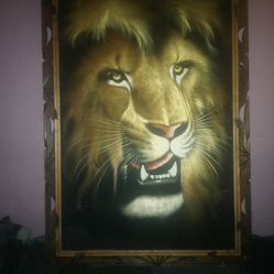 Lion Picture 